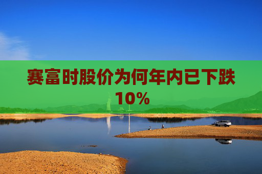 赛富时股价为何年内已下跌10%