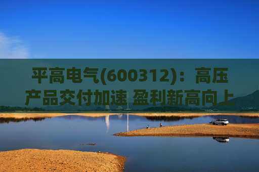 平高电气(600312)：高压产品交付加速 盈利新高向上突破