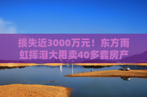 损失近3000万元！东方雨虹挥泪大甩卖40多套房产  第1张