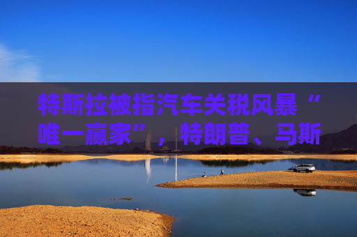 特斯拉被指汽车关税风暴“唯一赢家”，特朗普、马斯克紧急澄清