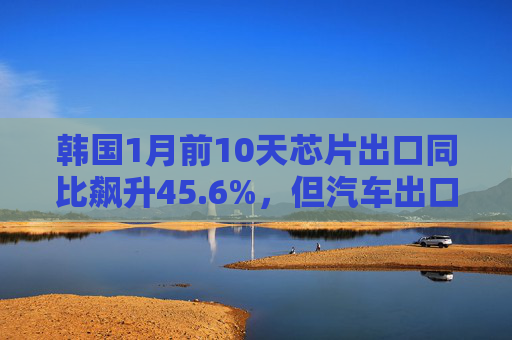 韩国1月前10天芯片出口同比飙升45.6%，但汽车出口大幅下滑