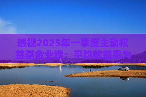 透视2025年一季度主动权益基金业绩：平均收益率为3.87% 机构专业管理能力价值凸显