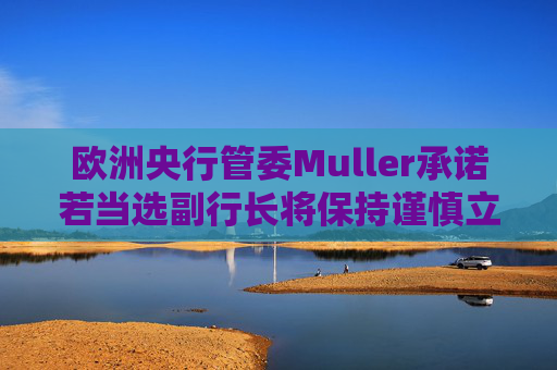 欧洲央行管委Muller承诺若当选副行长将保持谨慎立场