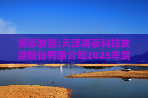 海泰发展:天津海泰科技发展股份有限公司2025年度业绩预告