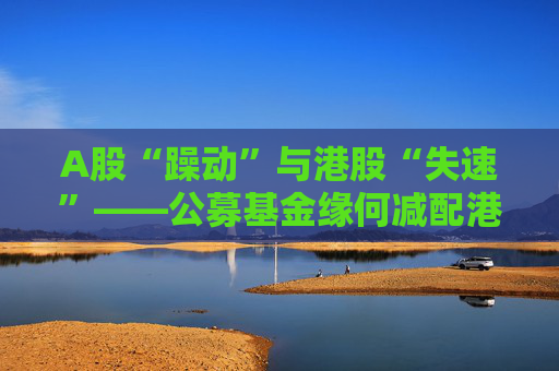 A股“躁动”与港股“失速”――公募基金缘何减配港股？