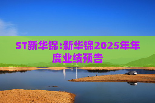 ST新华锦:新华锦2025年年度业绩预告
