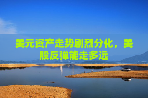 美元资产走势剧烈分化，美股反弹能走多远
