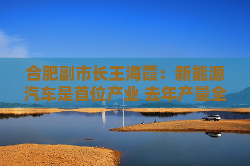 合肥副市长王海霞：新能源汽车是首位产业 去年产量全国第二