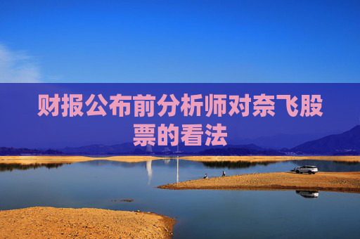 财报公布前分析师对奈飞股票的看法