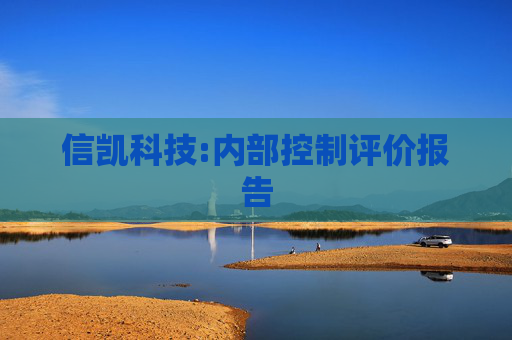 信凯科技:内部控制评价报告  第1张