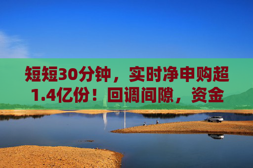短短30分钟，实时净申购超1.4亿份！回调间隙，资金加仓有色大提速