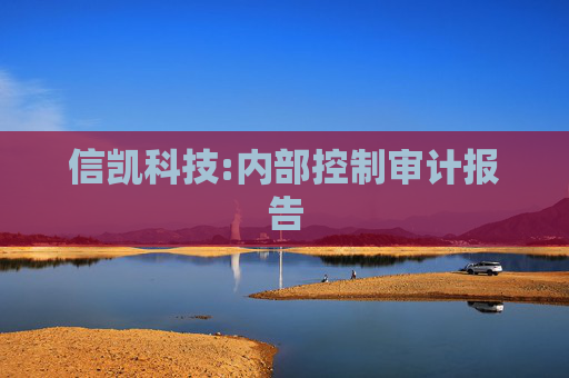 信凯科技:内部控制审计报告
