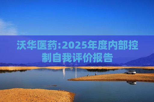 沃华医药:2025年度内部控制自我评价报告