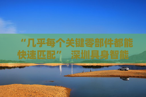 “几乎每个关键零部件都能快速匹配”  深圳具身智能生态先行一步 第1张