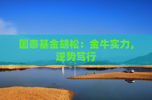 国泰基金胡松：金牛实力，逆势笃行