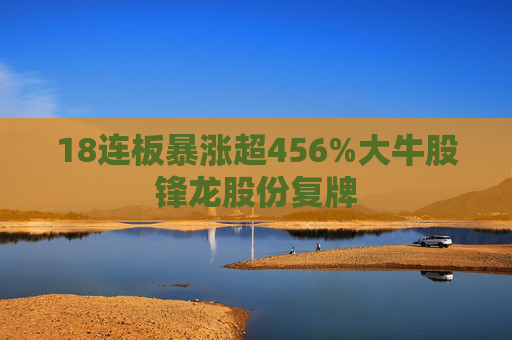 18连板暴涨超456%大牛股锋龙股份复牌