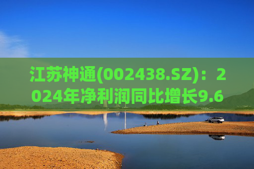 江苏神通(002438.SZ)：2024年净利润同比增长9.68% 拟10股派1.75元  第1张
