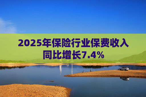 2025年保险行业保费收入同比增长7.4%  第1张