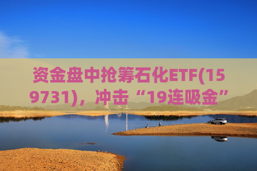 资金盘中抢筹石化ETF(159731),冲击“19连吸金”,近18日合计净流入超13亿,居同标的第一