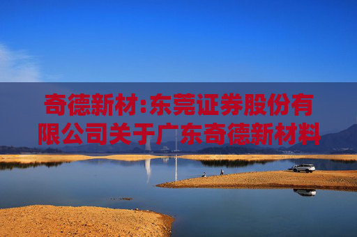 奇德新材:东莞证券股份有限公司关于广东奇德新材料股份有限公司2024年度募集资金存放与使用情况之专项核查意见  第1张