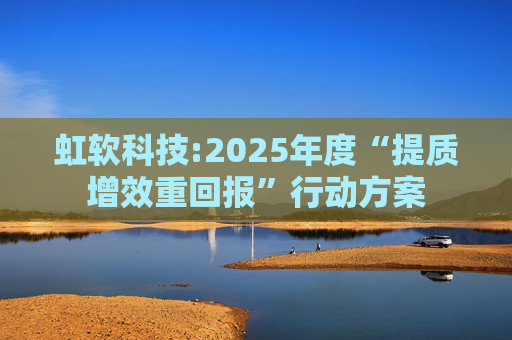 虹软科技:2025年度“提质增效重回报”行动方案  第1张