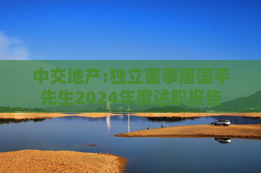 中交地产:独立董事唐国平先生2024年度述职报告  第1张