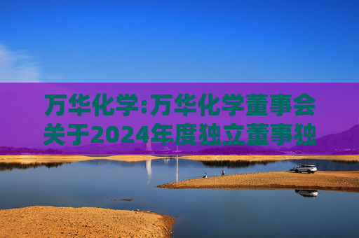 万华化学:万华化学董事会关于2024年度独立董事独立性自查情况的专项意见  第1张