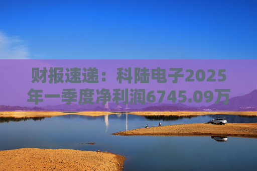 财报速递：科陆电子2025年一季度净利润6745.09万元