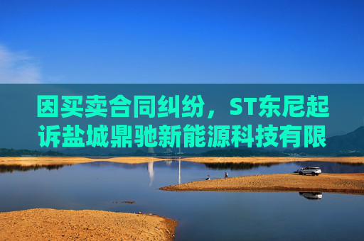 因买卖合同纠纷，ST东尼起诉盐城鼎驰新能源科技有限公司