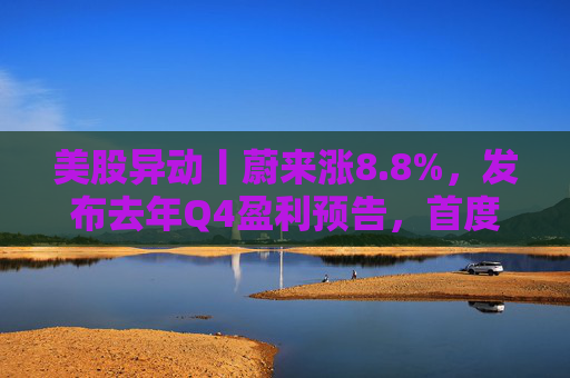 美股异动丨蔚来涨8.8%，发布去年Q4盈利预告，首度实现单季盈利