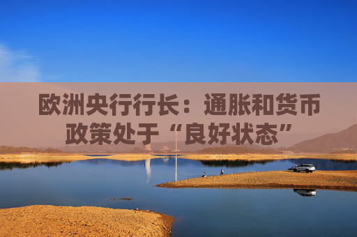 欧洲央行行长：通胀和货币政策处于“良好状态”