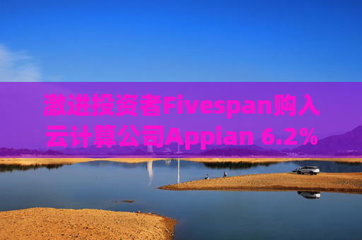 激进投资者Fivespan购入云计算公司Appian 6.2%的股份