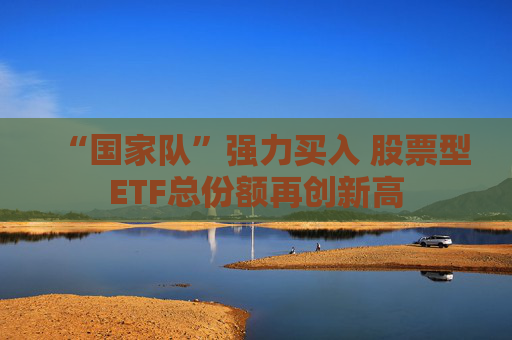 “国家队”强力买入 股票型ETF总份额再创新高  第1张