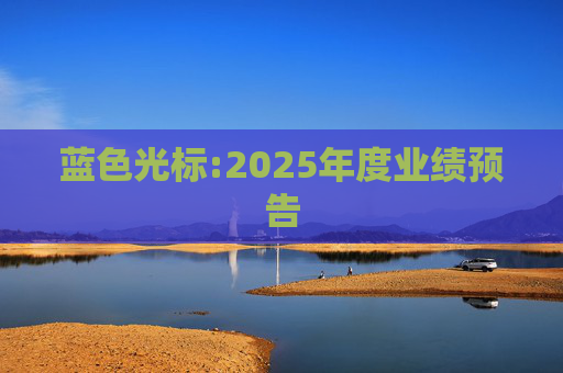 蓝色光标:2025年度业绩预告