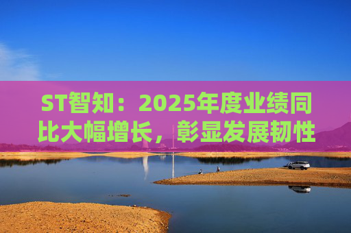 ST智知:2025年度业绩同比大幅增长,彰显发展韧性