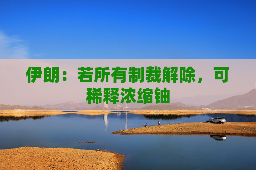 伊朗：若所有制裁解除，可稀释浓缩铀  第1张
