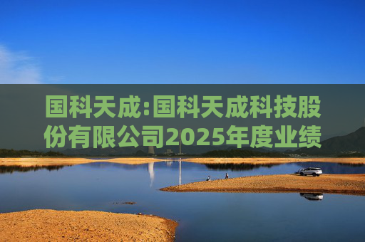 国科天成:国科天成科技股份有限公司2025年度业绩快报