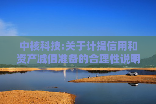 中核科技:关于计提信用和资产减值准备的合理性说明  第1张