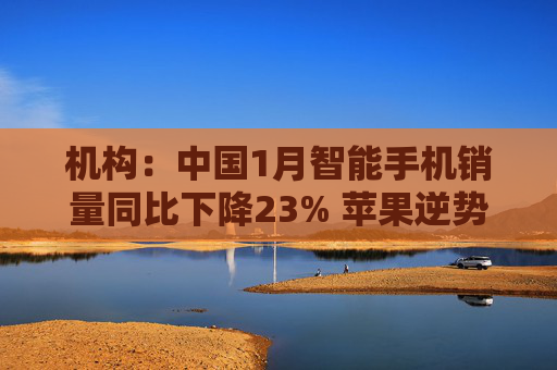 机构：中国1月智能手机销量同比下降23% 苹果逆势增长