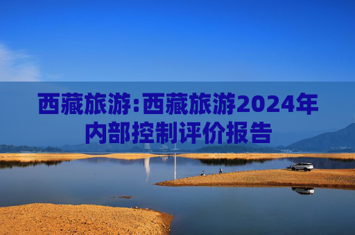 西藏旅游:西藏旅游2024年内部控制评价报告  第1张