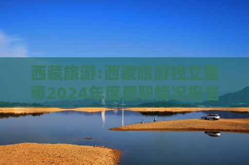 西藏旅游:西藏旅游独立董事2024年度履职情况报告（崔学刚）