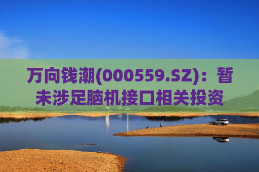 万向钱潮(000559.SZ)：暂未涉足脑机接口相关投资