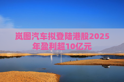岚图汽车拟登陆港股2025年盈利超10亿元