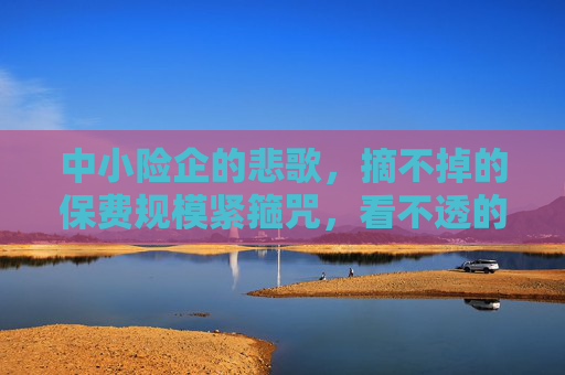 中小险企的悲歌，摘不掉的保费规模紧箍咒，看不透的新准则新逻辑