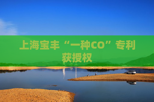 上海宝丰“一种CO”专利获授权