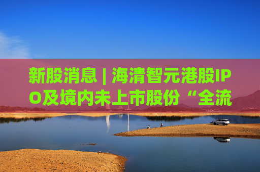 新股消息 | 海清智元港股IPO及境内未上市股份“全流通”获中国证监会备案