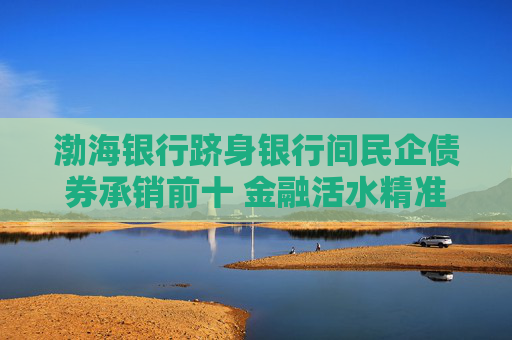 渤海银行跻身银行间民企债券承销前十 金融活水精准灌溉民营经济