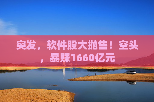 突发，软件股大抛售！空头，暴赚1660亿元