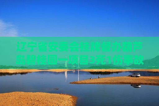 辽宁省安委会挂牌督办葫芦岛碧桂园一项目3死1伤事故  第1张