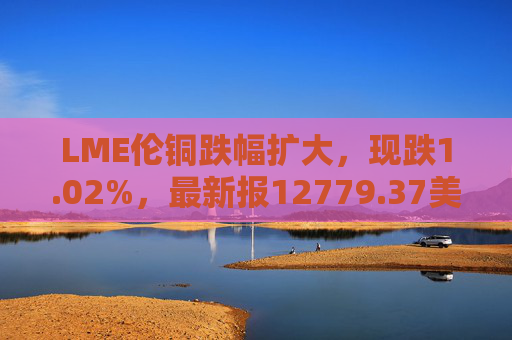 LME伦铜跌幅扩大，现跌1.02%，最新报12779.37美元/吨